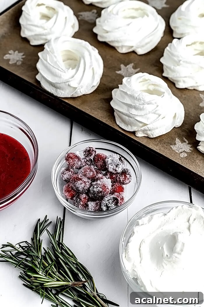 Cranberry Curd Pavlovas: Tart & Creamy Meringue Dessert 6 Meringues, Cranberry Curd, and Whipped Cream for Pavlovas