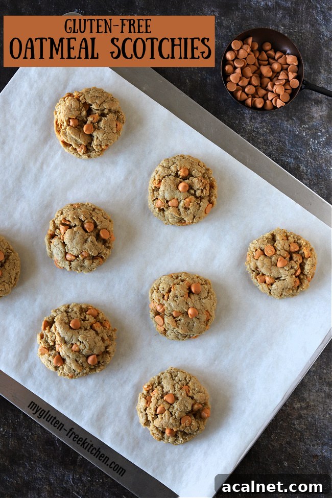 Gluten-free Oatmeal Scotchies Pin
