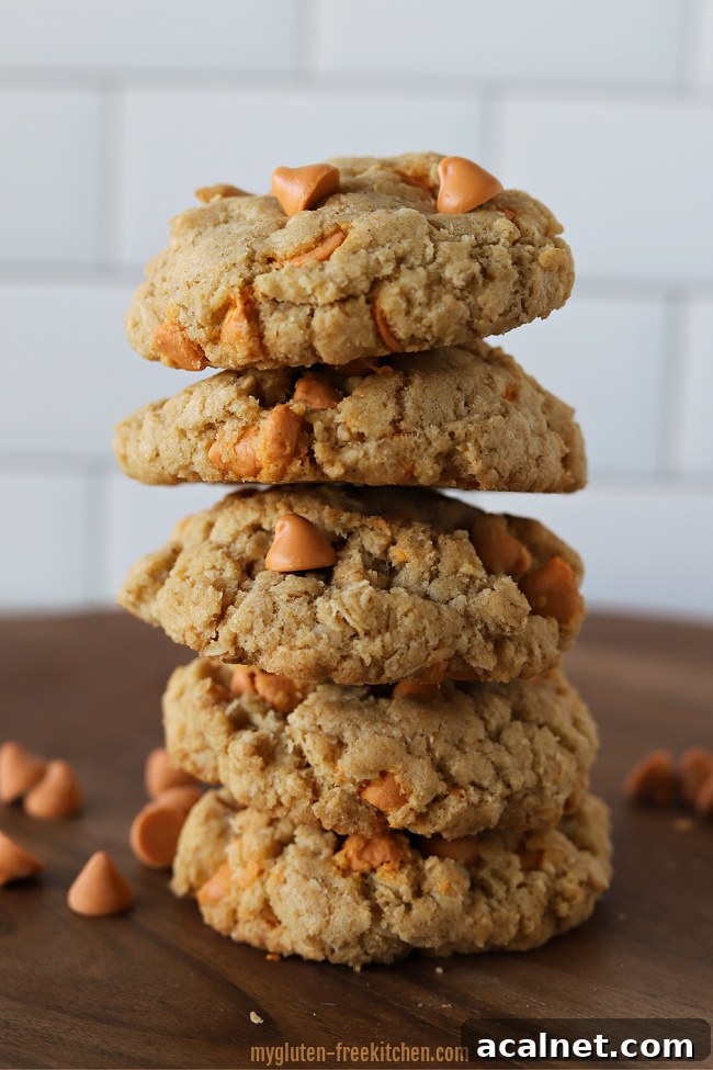 Stack of 5 Gluten-free Oatmeal Scotchies