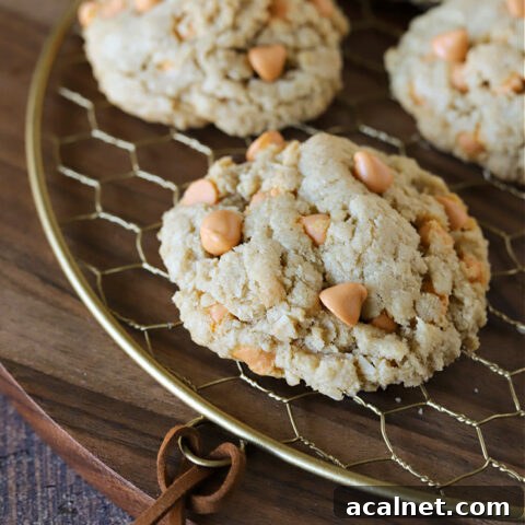 Best Gluten-free Oatmeal Butterscotch Cookies on cooling rack