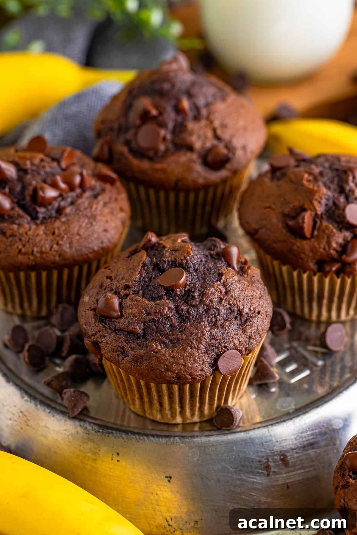 Moist Chocolate Banana Muffins with Chocolate Chips 2 closer image of Chocolate Banana Chocolate Chip Muffins served on tray
