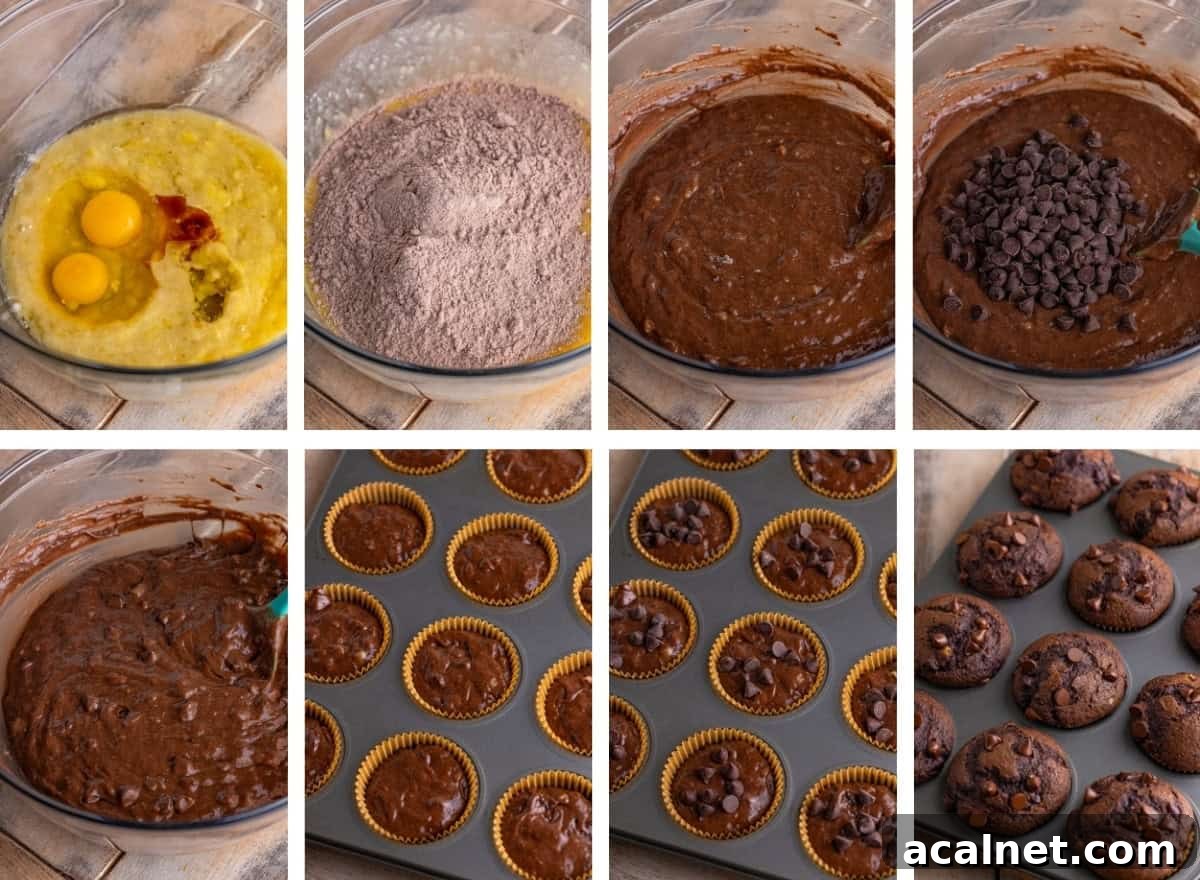 Moist Chocolate Banana Muffins with Chocolate Chips 4 collage of images showing how to make Chocolate Banana Chocolate Chip Muffins
