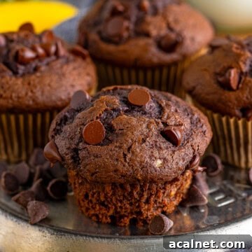 Moist Chocolate Banana Muffins with Chocolate Chips 8 img 65137 8