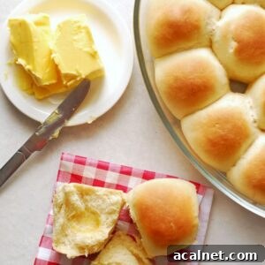 Top Side Dishes for Steak: 20+ Perfect and Poor Pairings 22 Perfect dinner rolls