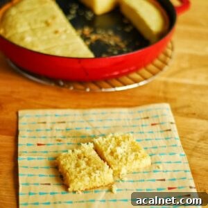 Top Side Dishes for Steak: 20+ Perfect and Poor Pairings 23 Cast iron skillet cornbread