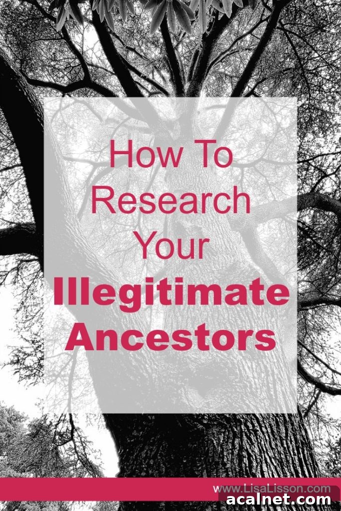 Black and white version of a tree with faded white box with red letters reading How to Research your Illegitimate Ancestors 