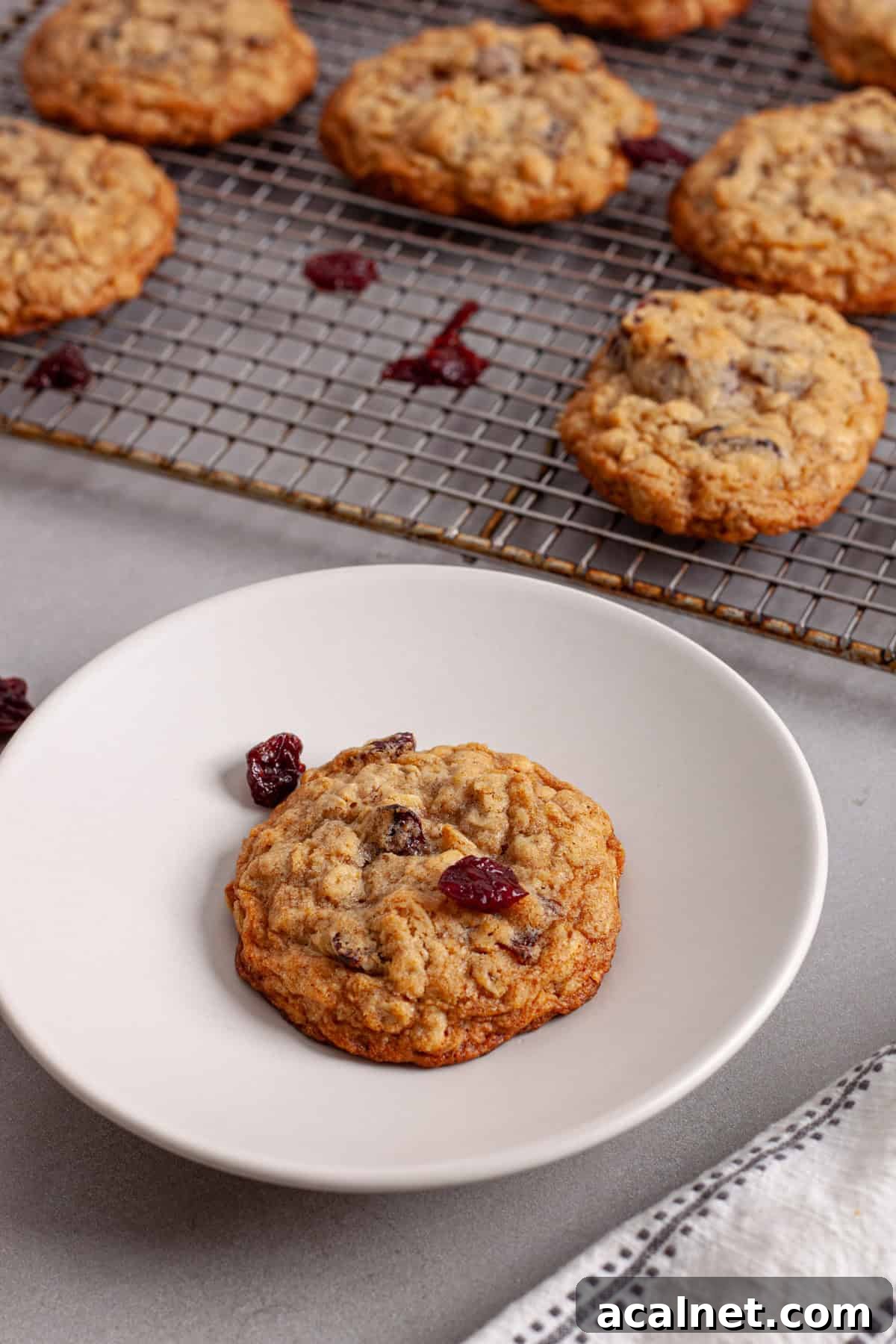 A wire rack with oatmeal cherry cookies and a single serving on a plate to the side with dried cherries scattered.