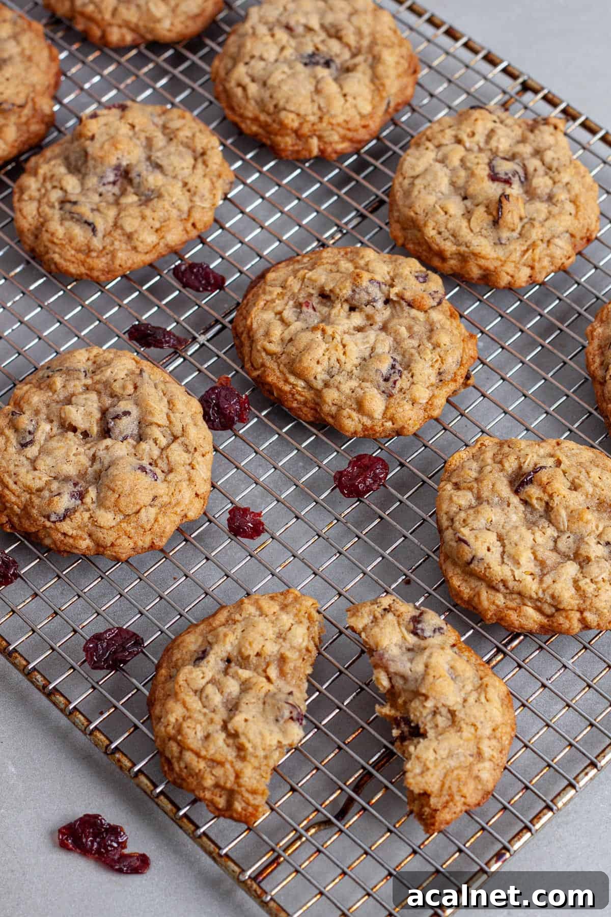 A oatmeal cherry cookie torn in half on a wire rack with more cookies cooling on the rack.