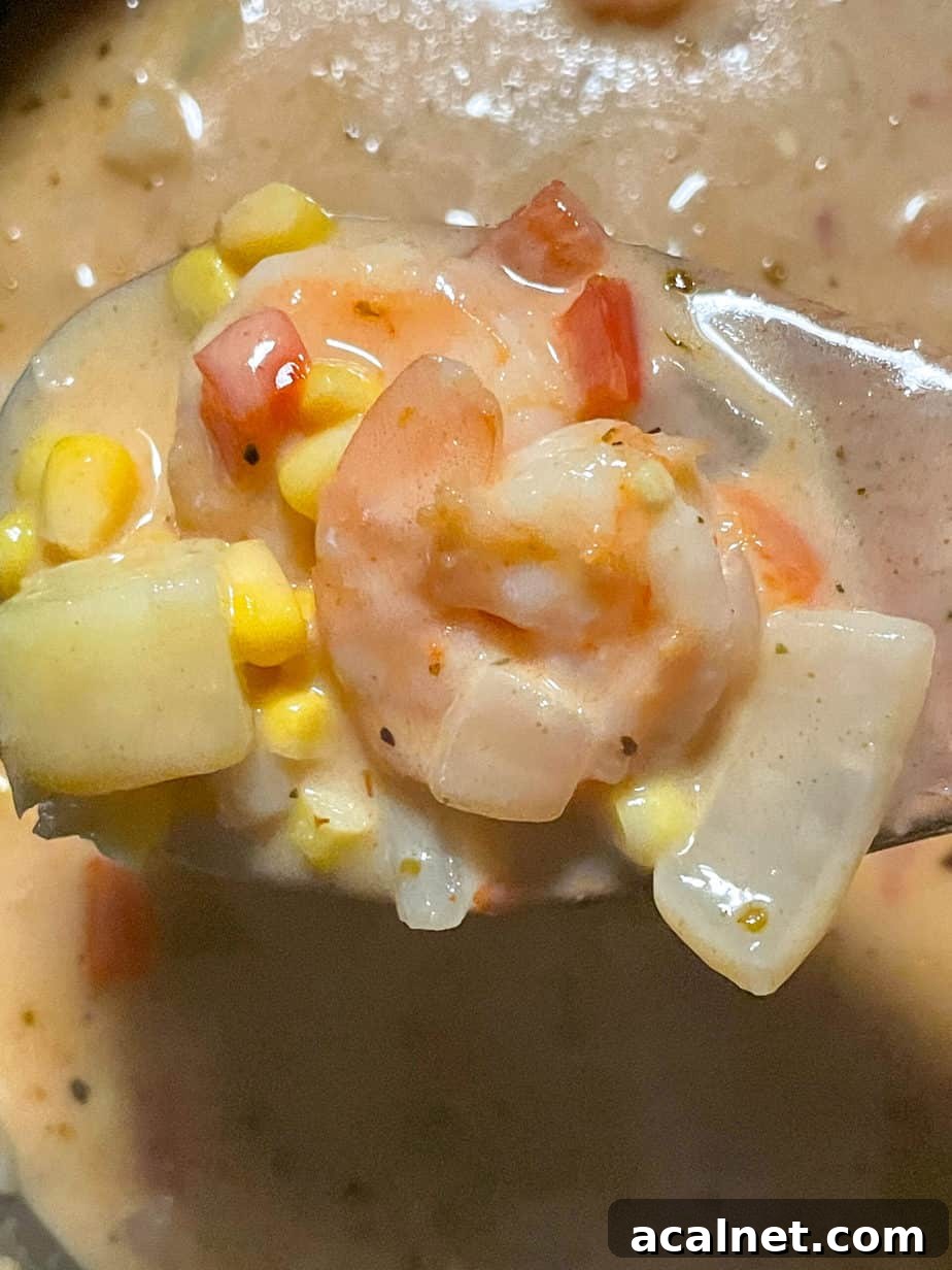 Creamy Cajun Shrimp and Sweet Corn Chowder Recipe 11 img 7124 10