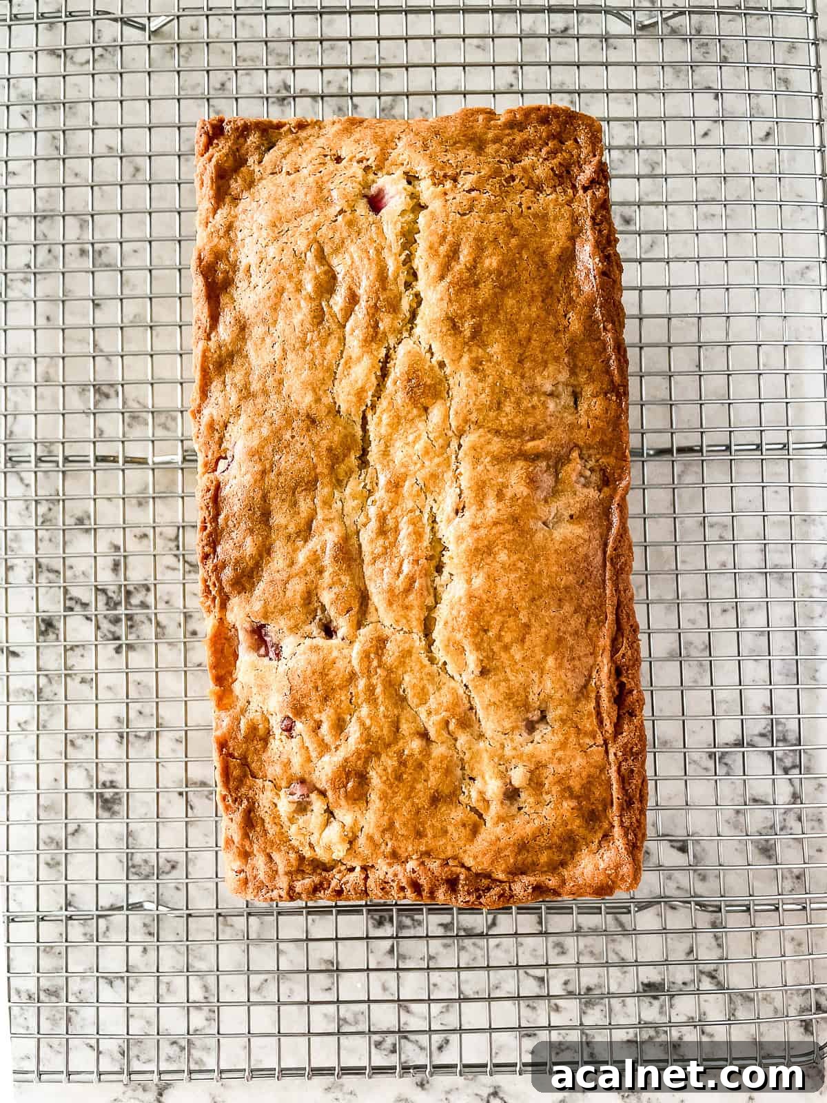 strawberry bread cooling