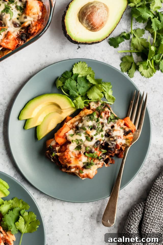 Vegetarian Enchilada Casserole