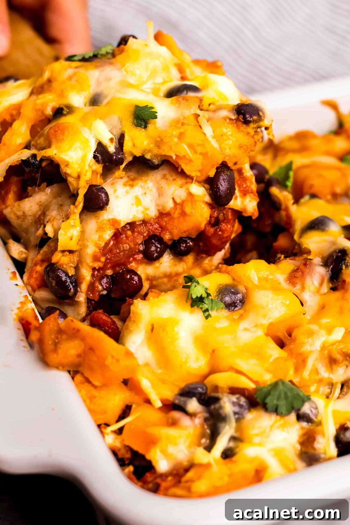 sweet potato black bean casserole