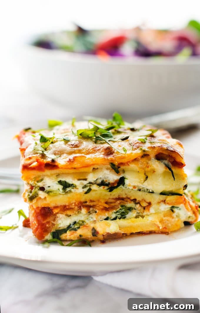 Vegetarian Lasagna