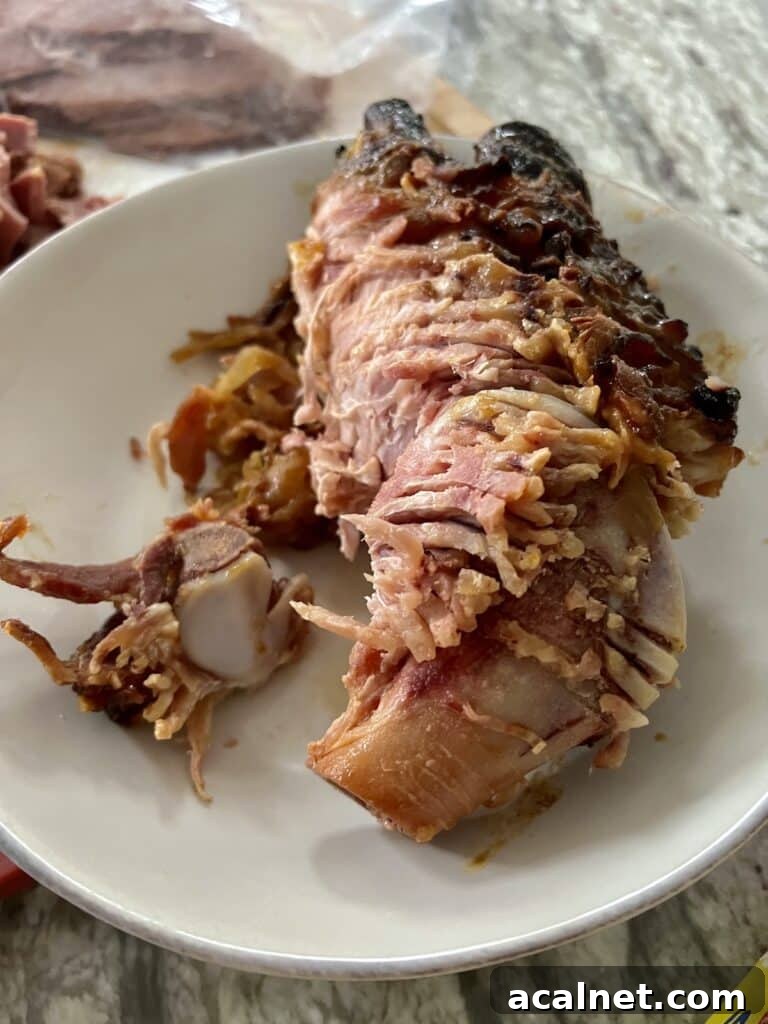 Can you refreeze ham that has been already baked? Photo of leftover ham bone on plate.