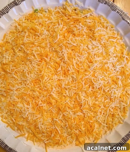 Grated Cheddar Cheese on top of the dip