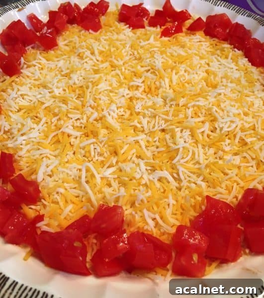 Chopped Tomatoes around edge of dip