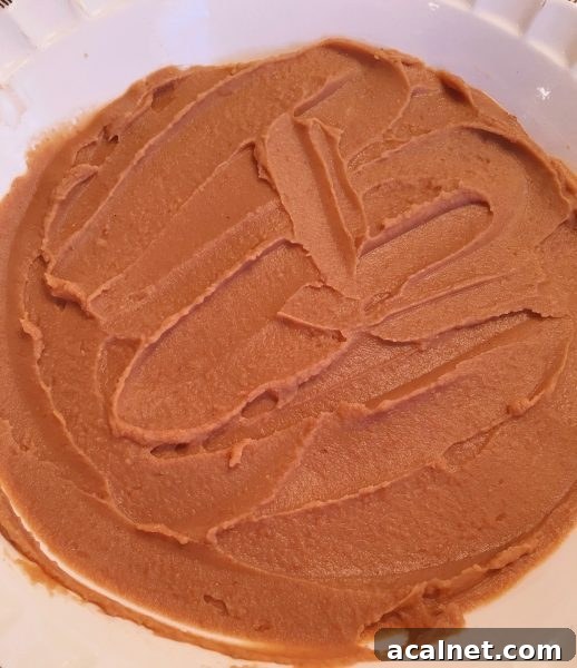 Layer of Bean Dip spread in bottom of deep pie plate