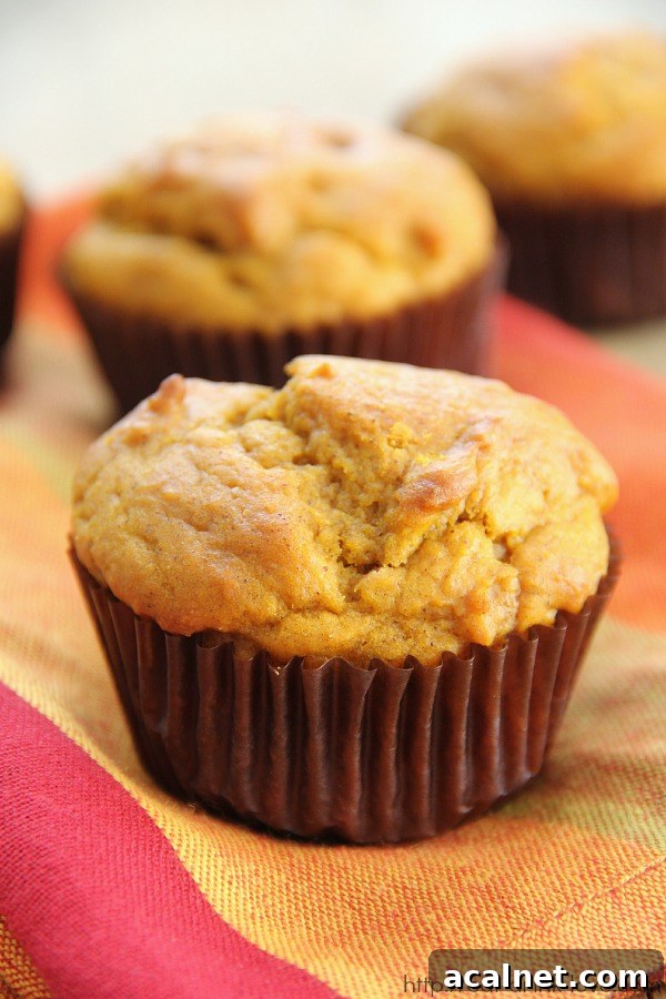 Easy Pumpkin Muffins