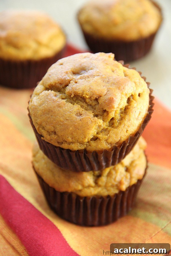 Easy Pumpkin Muffins