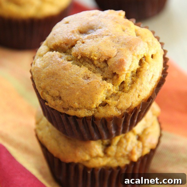 Easy Pumpkin Muffins
