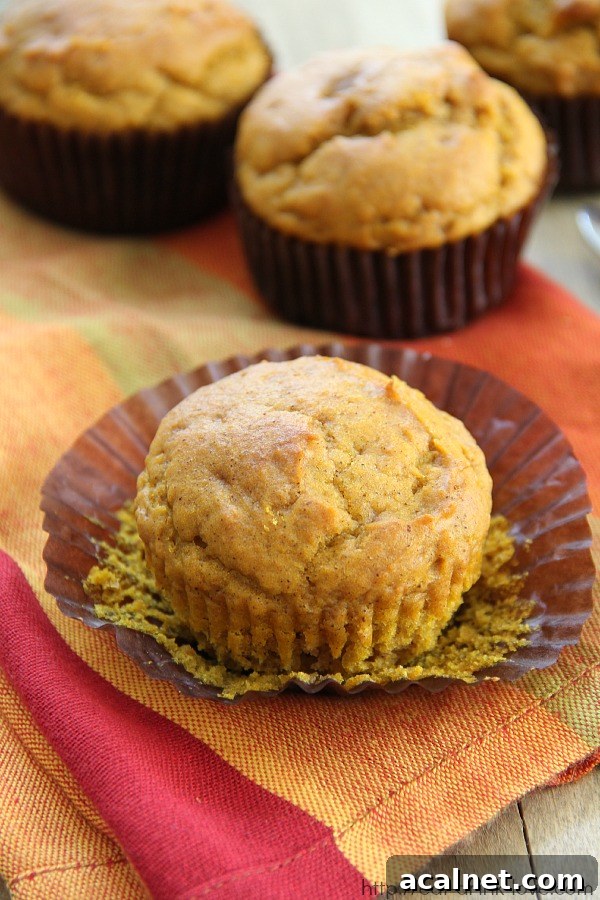 Easy Pumpkin Muffins