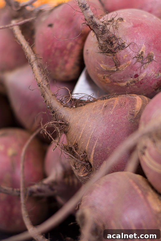 A pile or raw beetroots