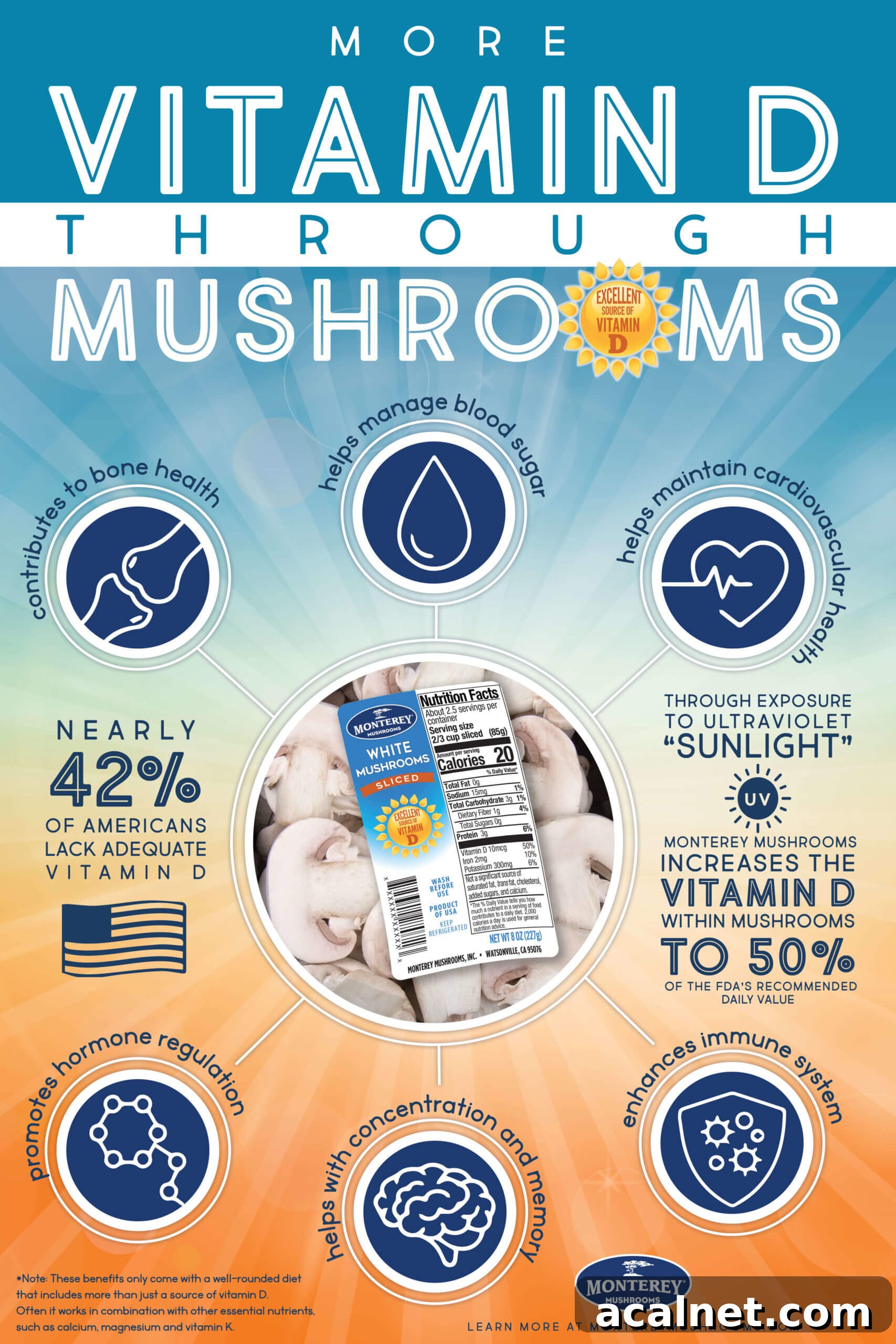High Vitamin D Mushrooms: Top Varieties and How to Use Them 2 High Vitamin D Mushrooms