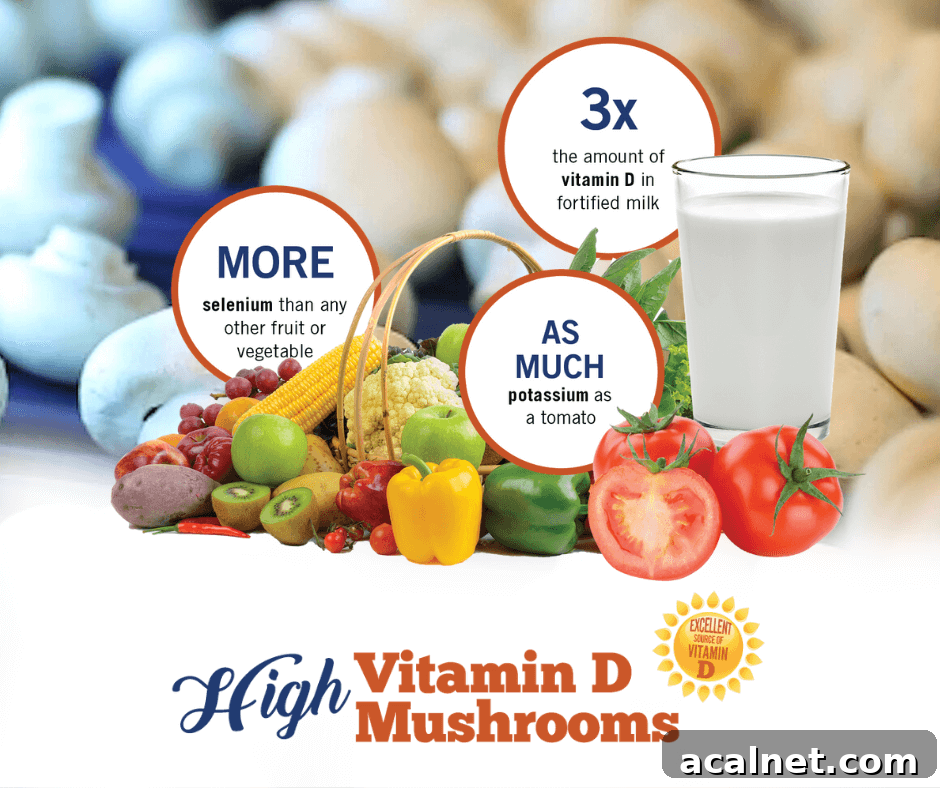 High Vitamin D Mushrooms: Top Varieties and How to Use Them 3 Increasing Vitamin D with Mushrooms