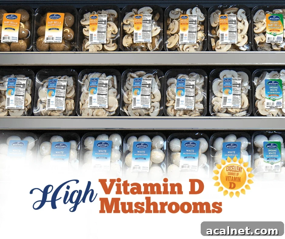 High Vitamin D Mushrooms: Top Varieties and How to Use Them 5 High vitamin D mushrooms