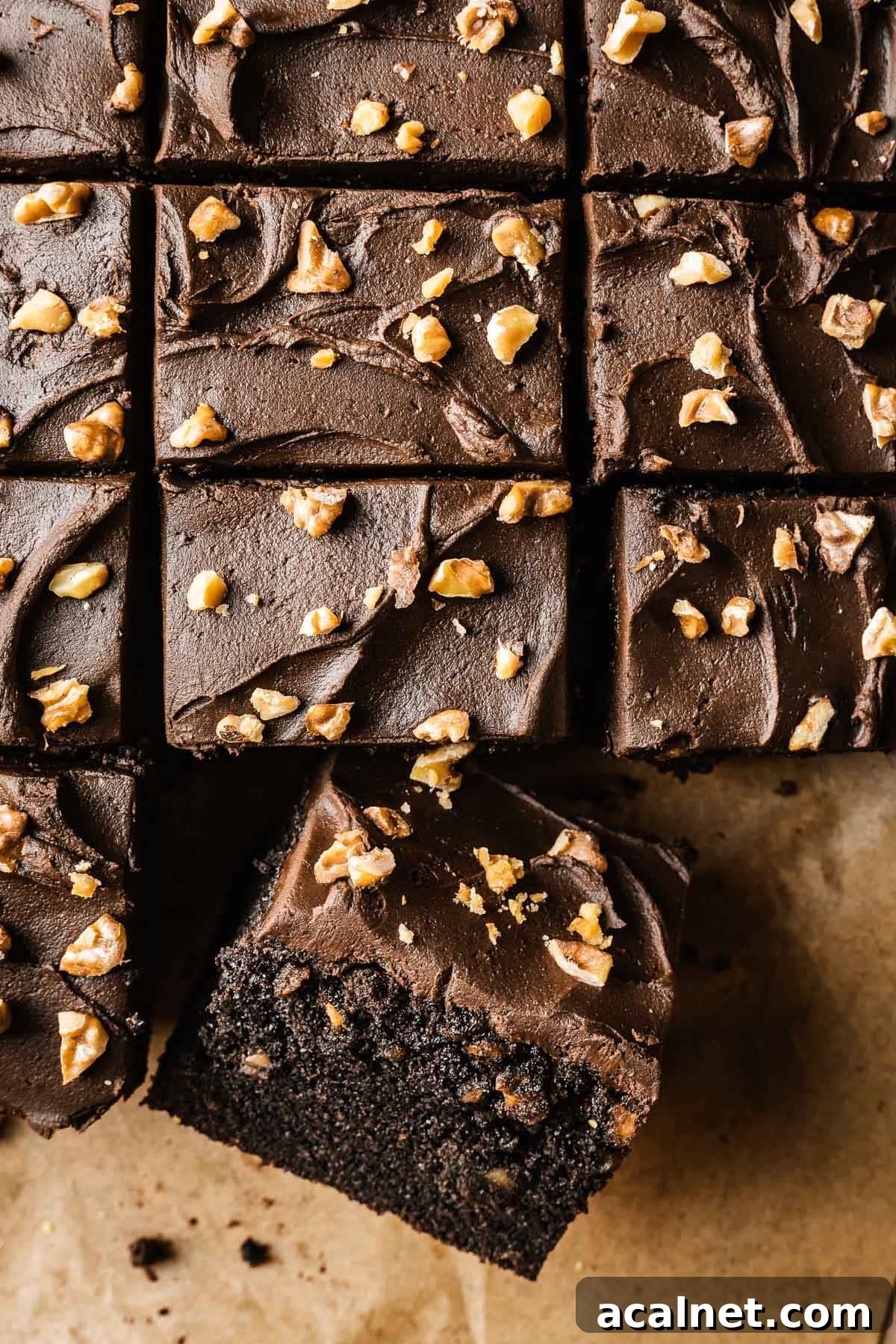 Slices of chocolate walnut cake with one slice turned at an angle to show the crumb.