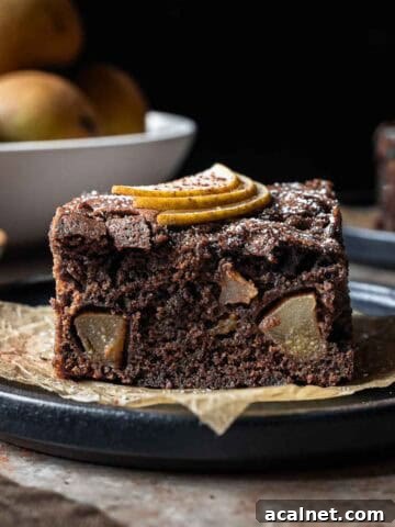 A square of chocolate pear cake from the side showing the crumb and fruit inside.