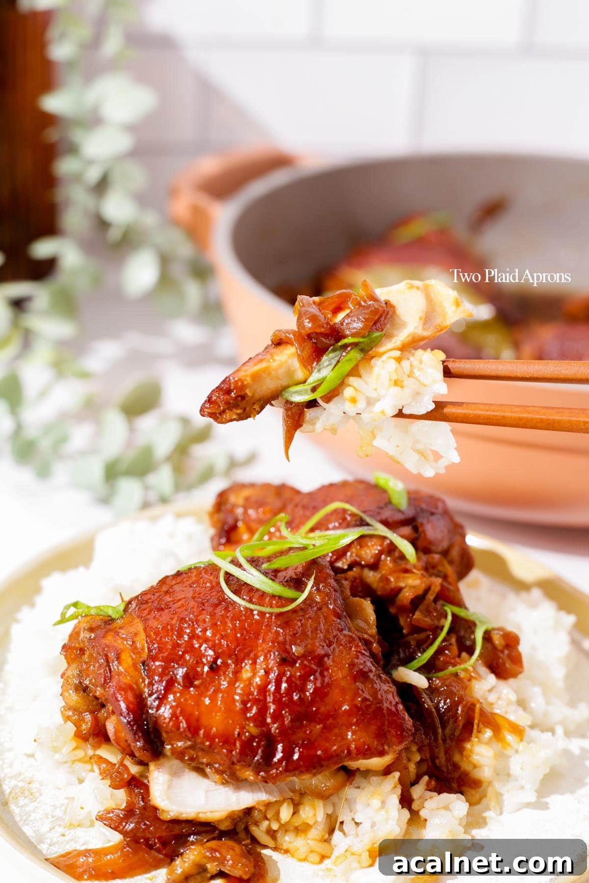 Picking up a piece of chicken adobo.
