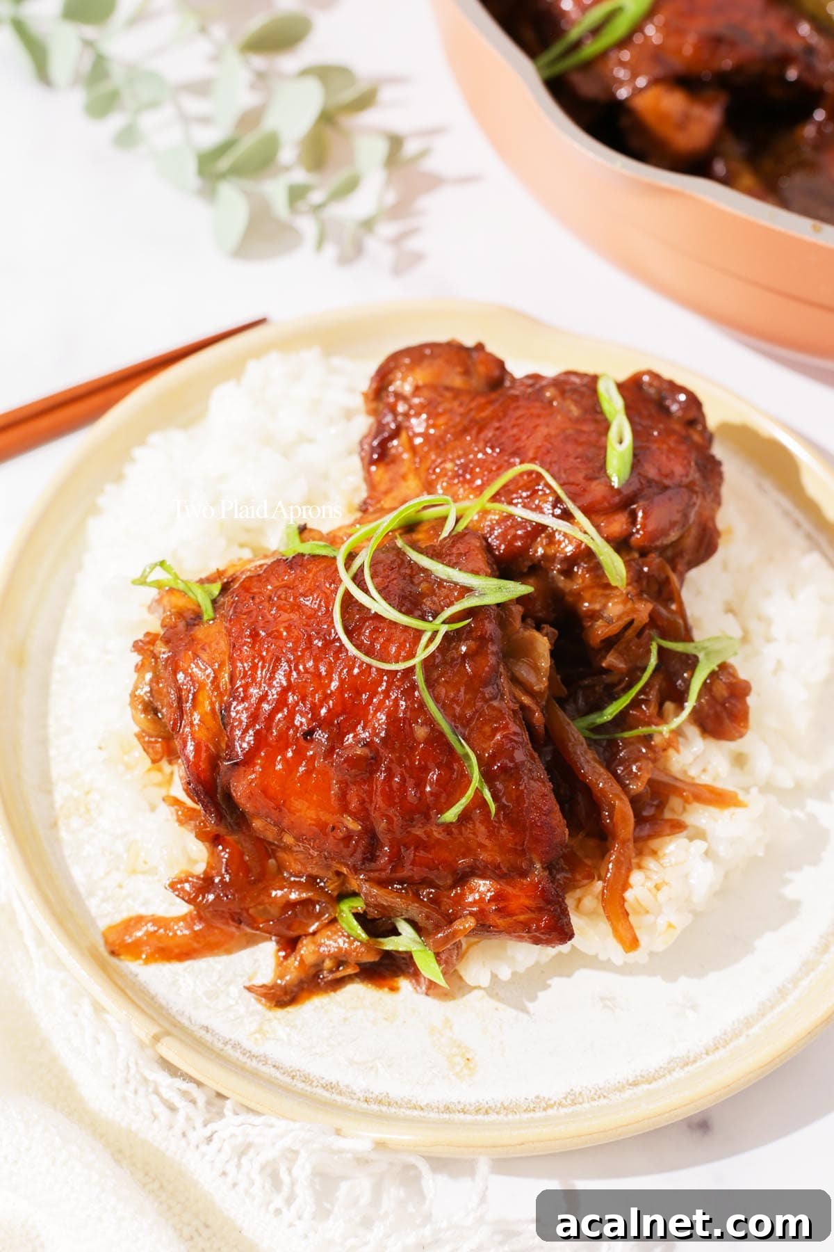 Chicken adobo with rice on plate.