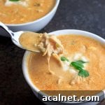 Low Carb Instant Pot Chicken Salsa Queso Soup