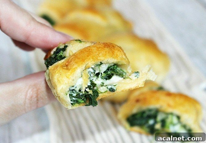 spinach artichoke crescent rolls
