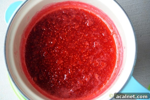 raspberry sauce