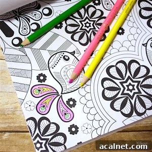 Creative Toys and Books to Spark Kids’ Imagination 14 Creative tween gifts that will get them thinking, moving, building, imagining, and more! Budget-friendly toys, books, and games for kids.