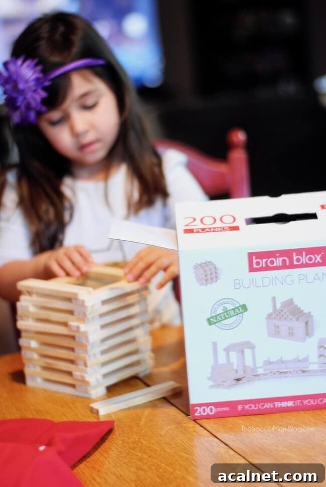 Creative Toys and Books to Spark Kids’ Imagination 6 Brain Blox building planks creative kids toys