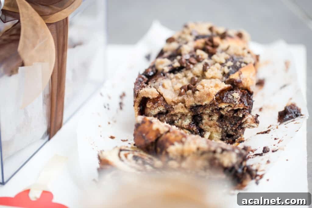 chocolate or cinnamon babka