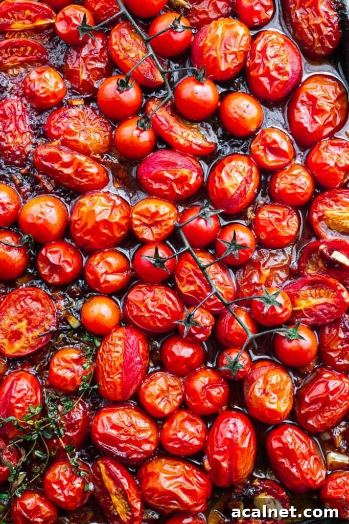 Oven-roasted harissa tomatoes in a tray viewed from above