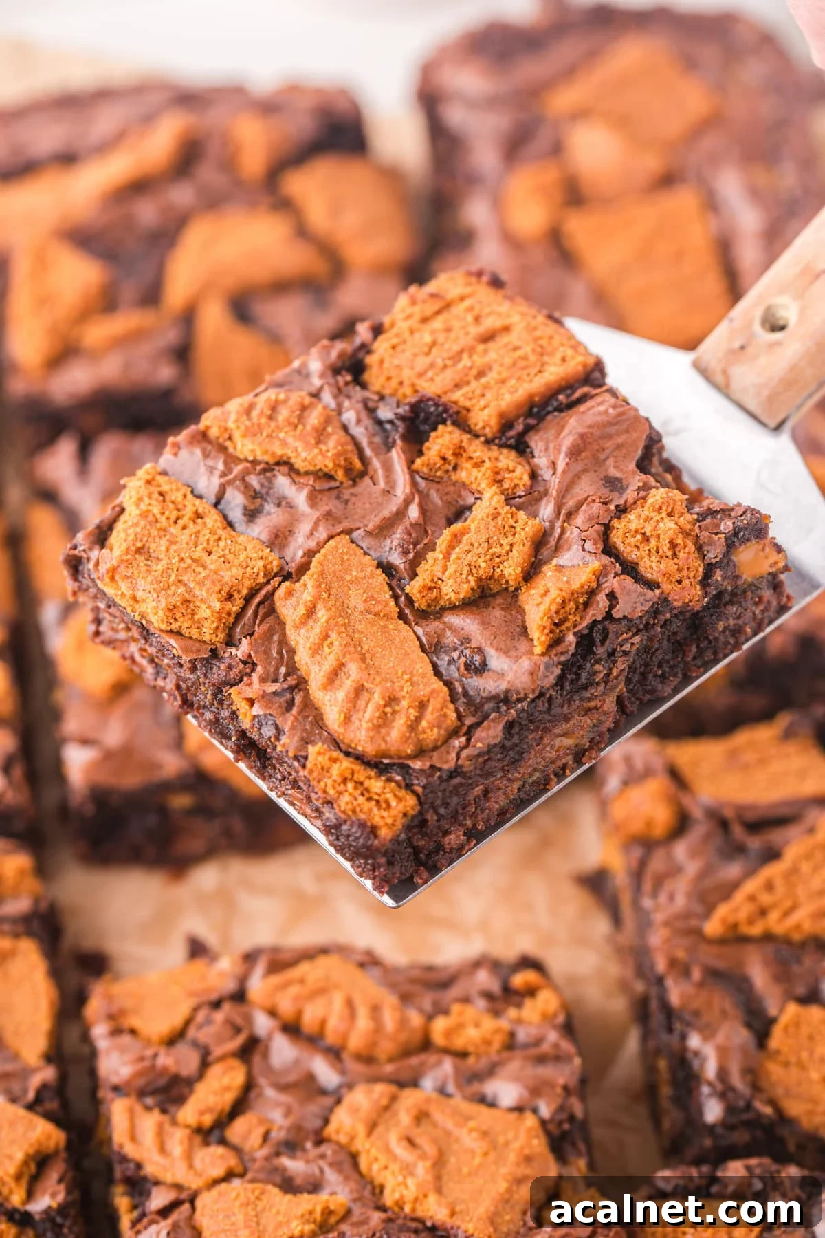 A brownie on a spatula, covered with Lotus Biscoff biscuit pieces.