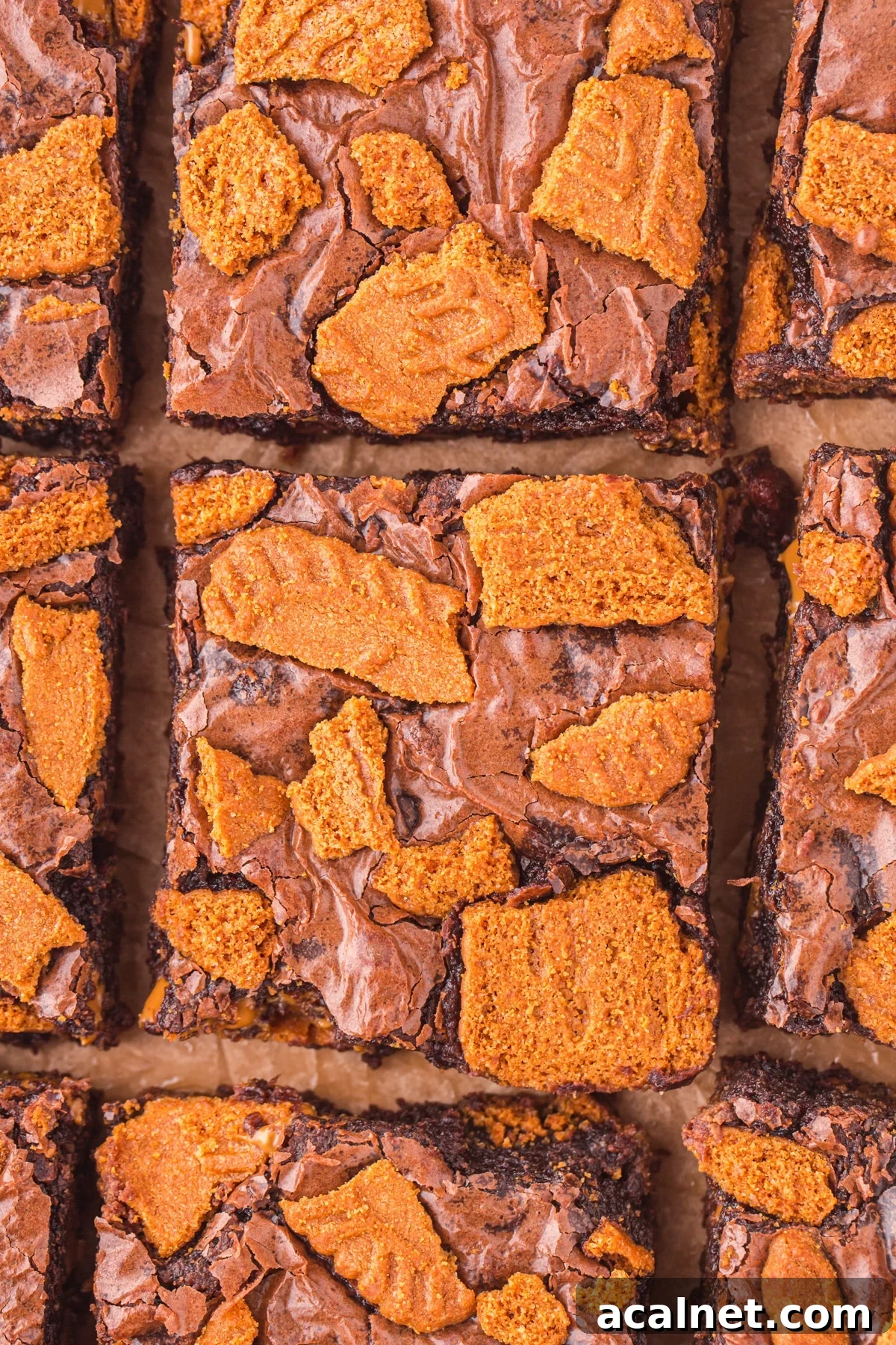 A close up of Biscoff biscuit brownies.