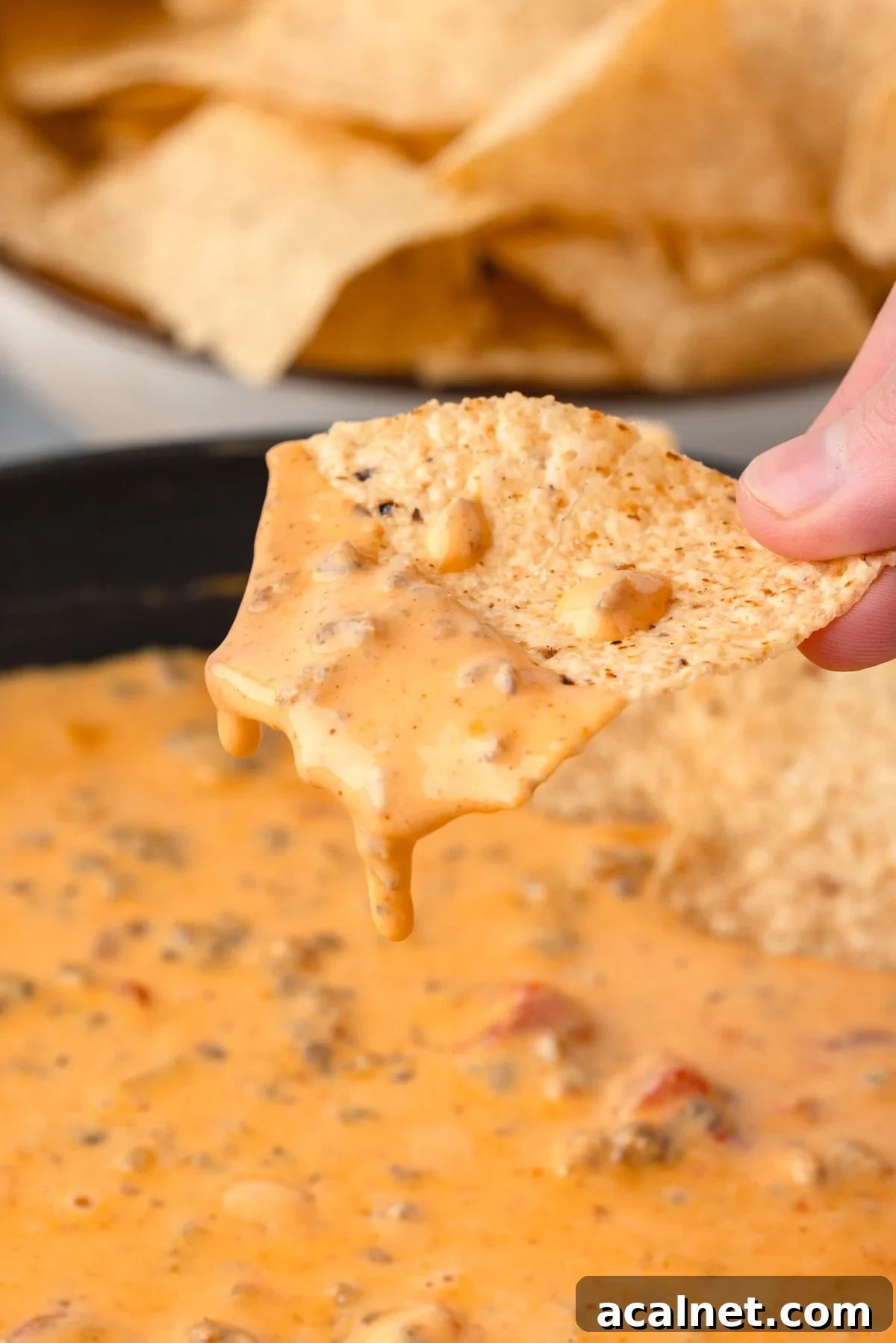 up close photo of a creamy cheese drip on a tortilla chip