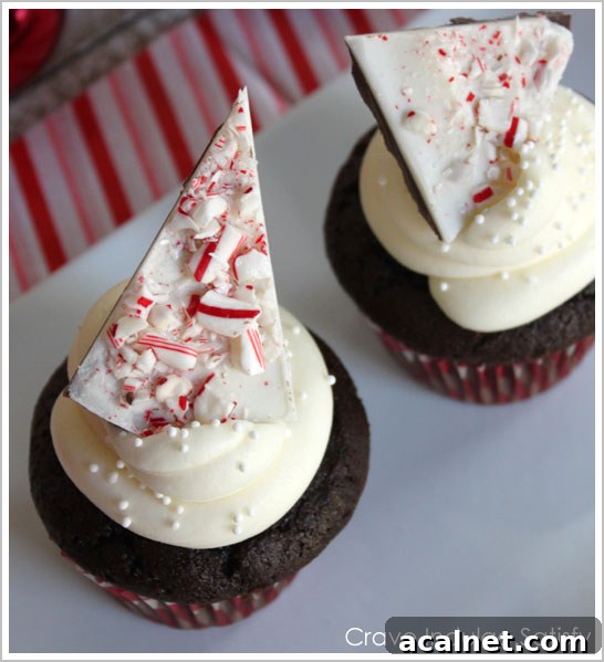 Peppermint Hot Chocolate Cupcakes Recipe