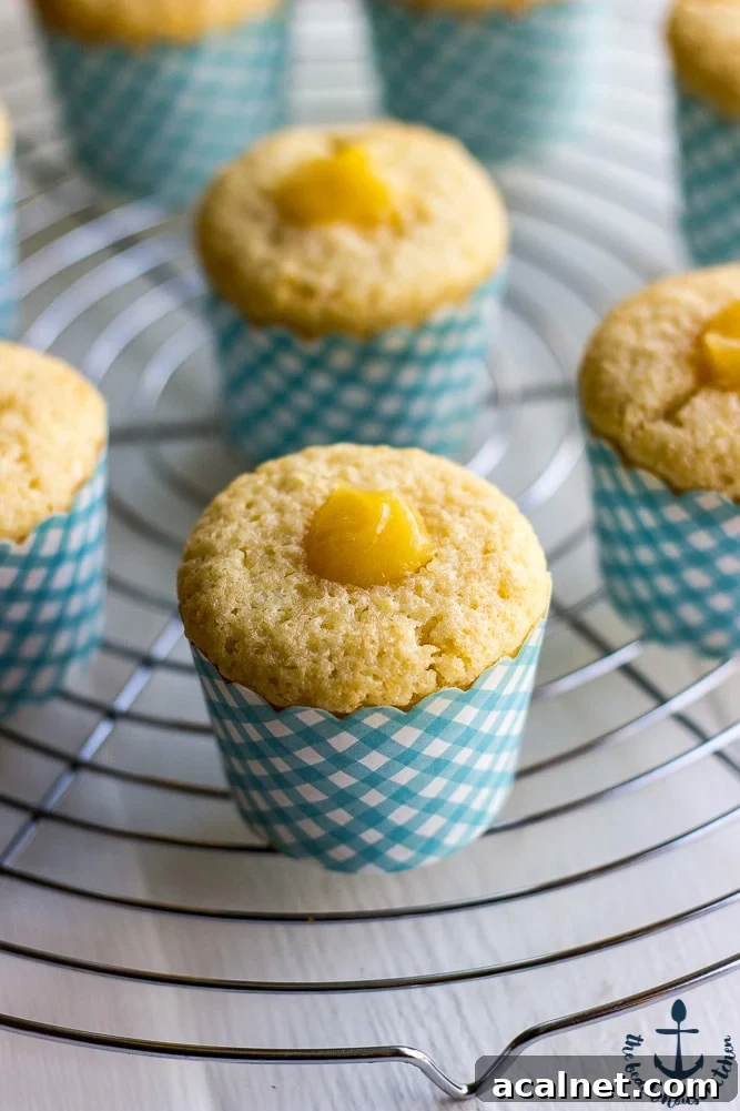 Lemon Cupcakes Filled with Lemon Curd Topped with Vanilla Buttercream-