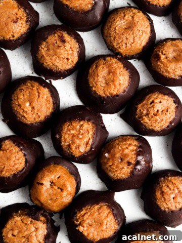Peanut butter and almond butter buckeyes wrapped in chocolate on a plate.