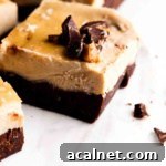 Cashew cream peanut butter vegan cheesecake bars with a chocolate crust on a white plate.