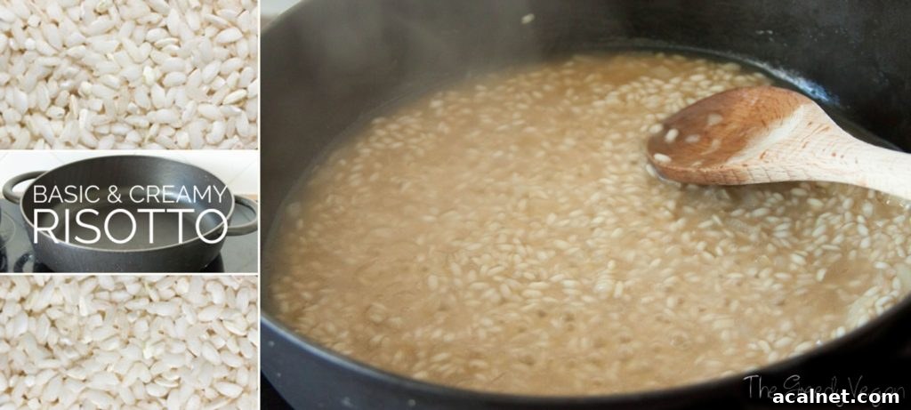 basic and creamy risotto