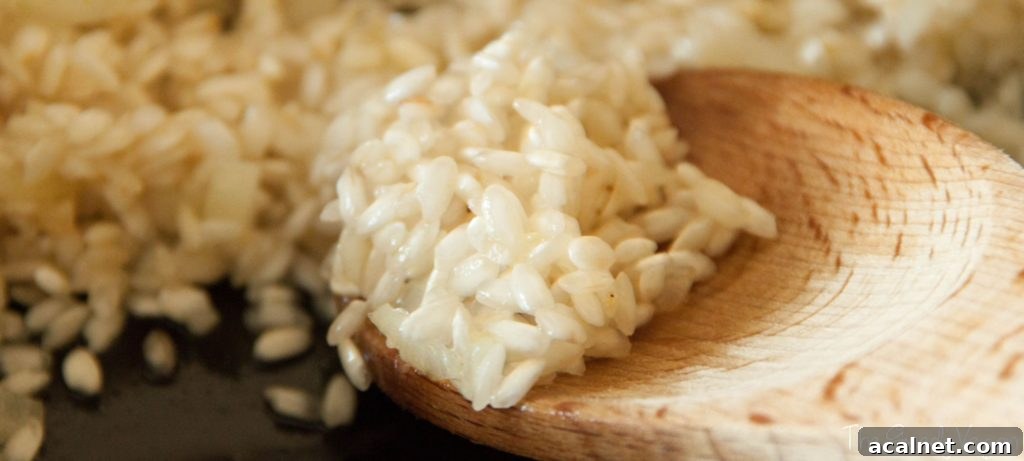 basic and creamy risotto