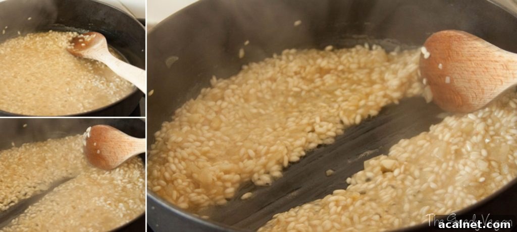 basic and creamy risotto